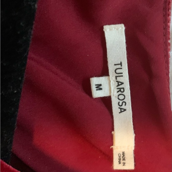 Tularosa Burgundy Velvet Dress - Mini - Picture 5 of 5